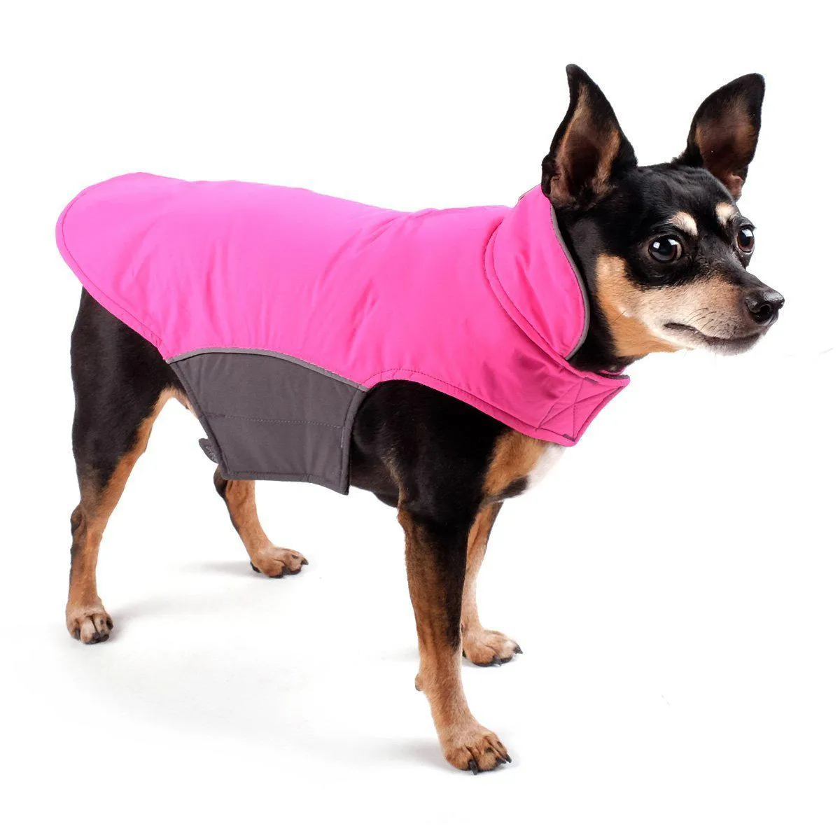 Apex Fuchsia Nylon Dog Jacket