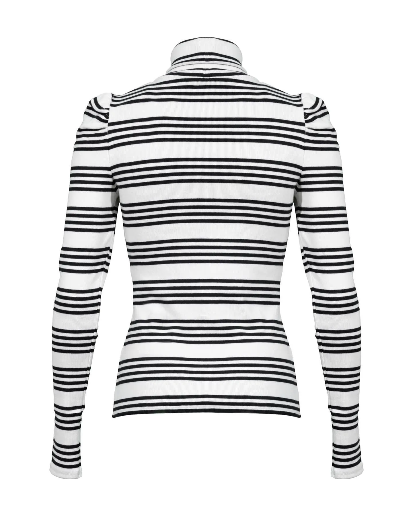 Cedar Stripe Turtleneck