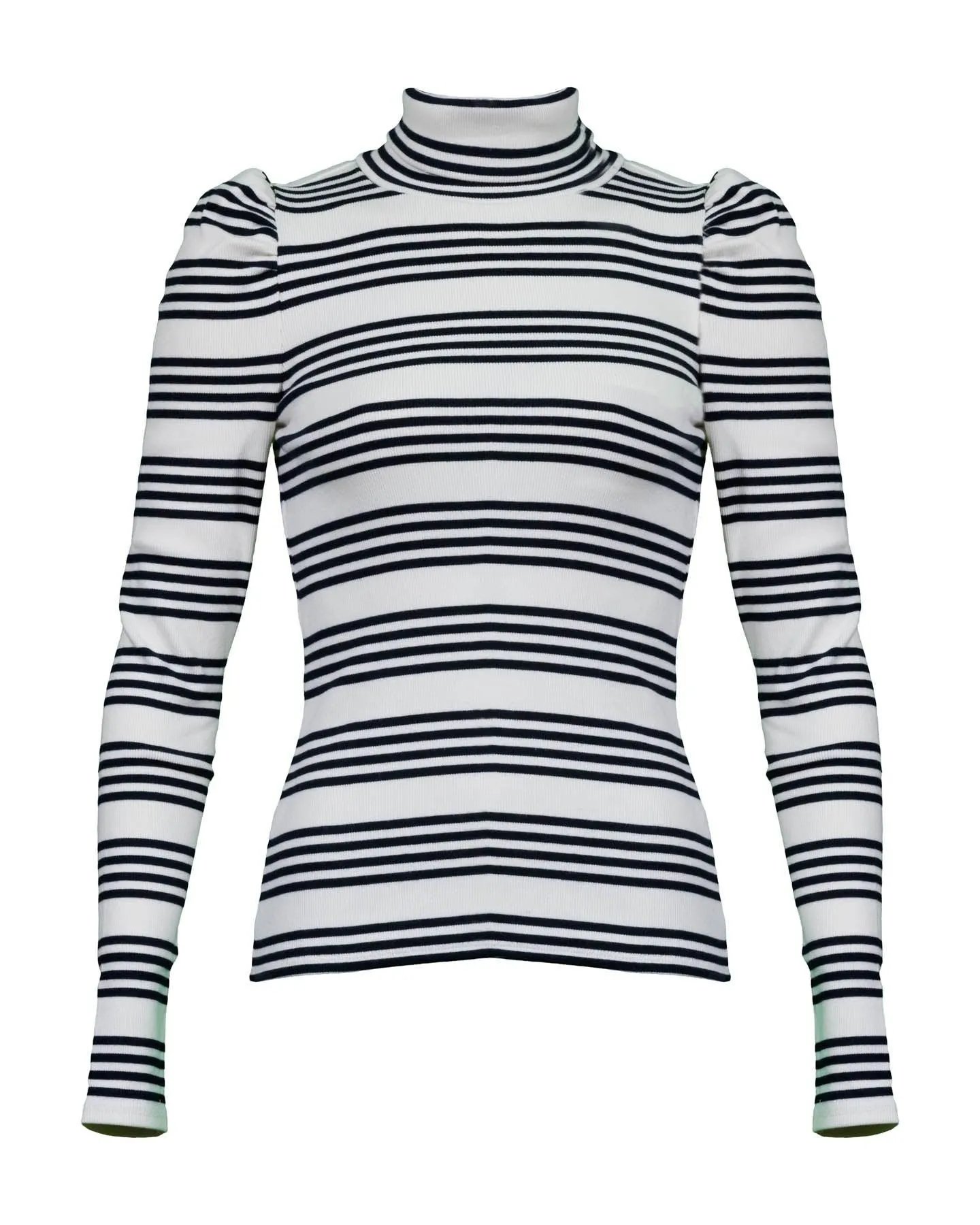 Cedar Stripe Turtleneck