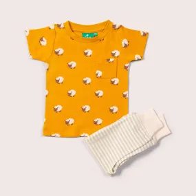 Little Green Radicals - Counting Sheep Organic T-Shirt & Jogger Playset