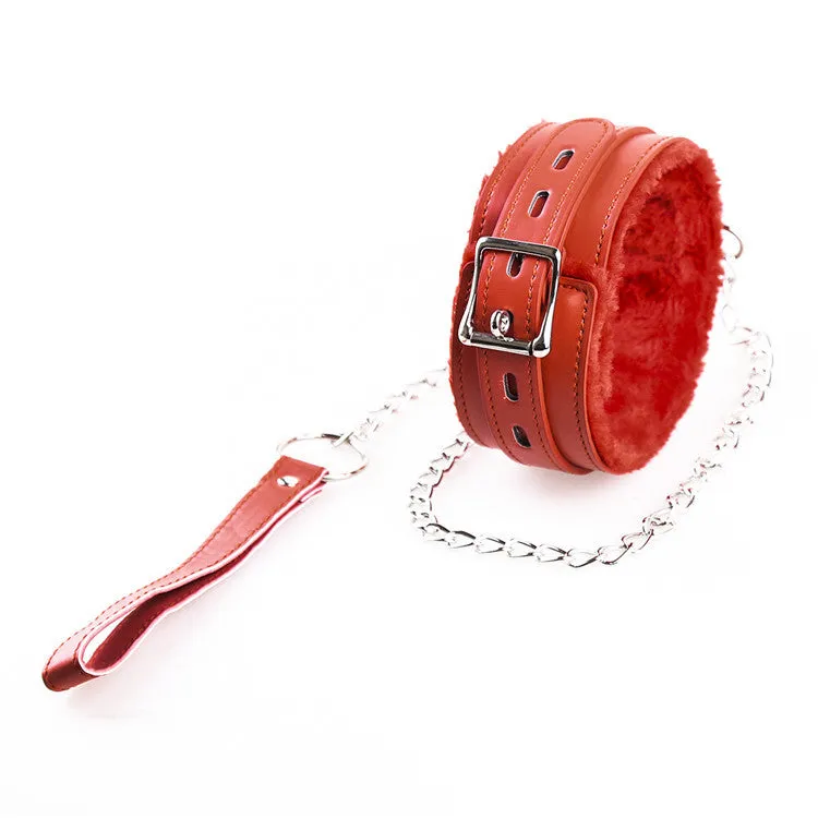 Lockable Collar & Leash