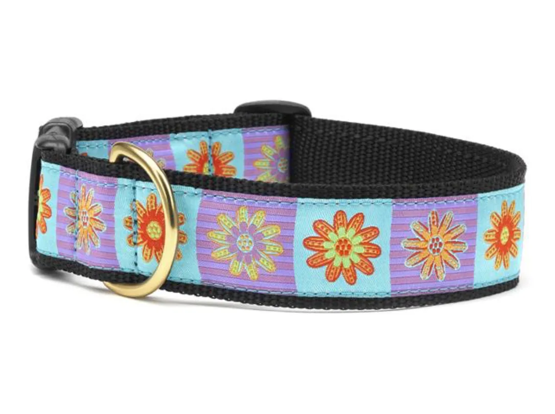 Lola Dog Collar