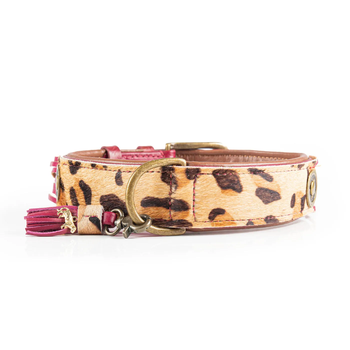 Lou Lou Dog Collar by DWAM