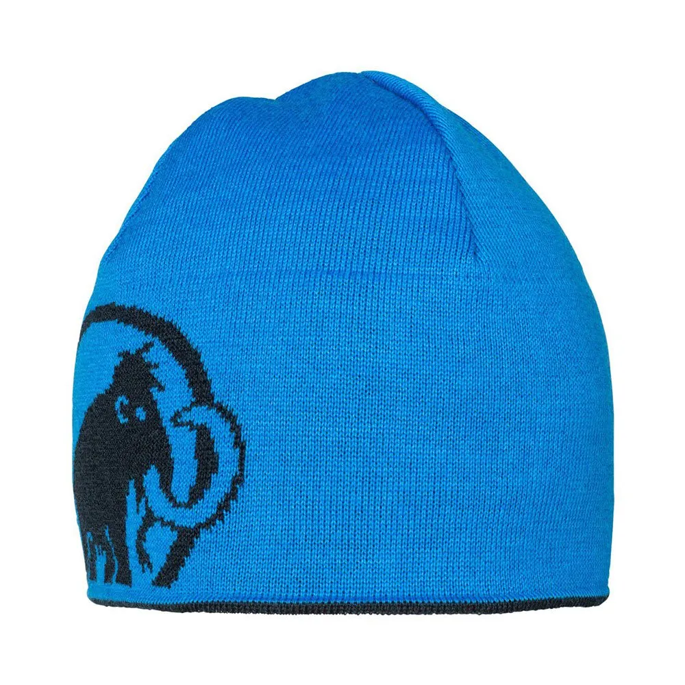 Mammunt Logo Beanie - Men's One Size