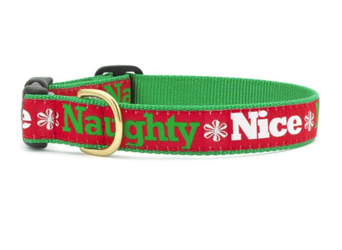 Naughty and Nice Dog Collar