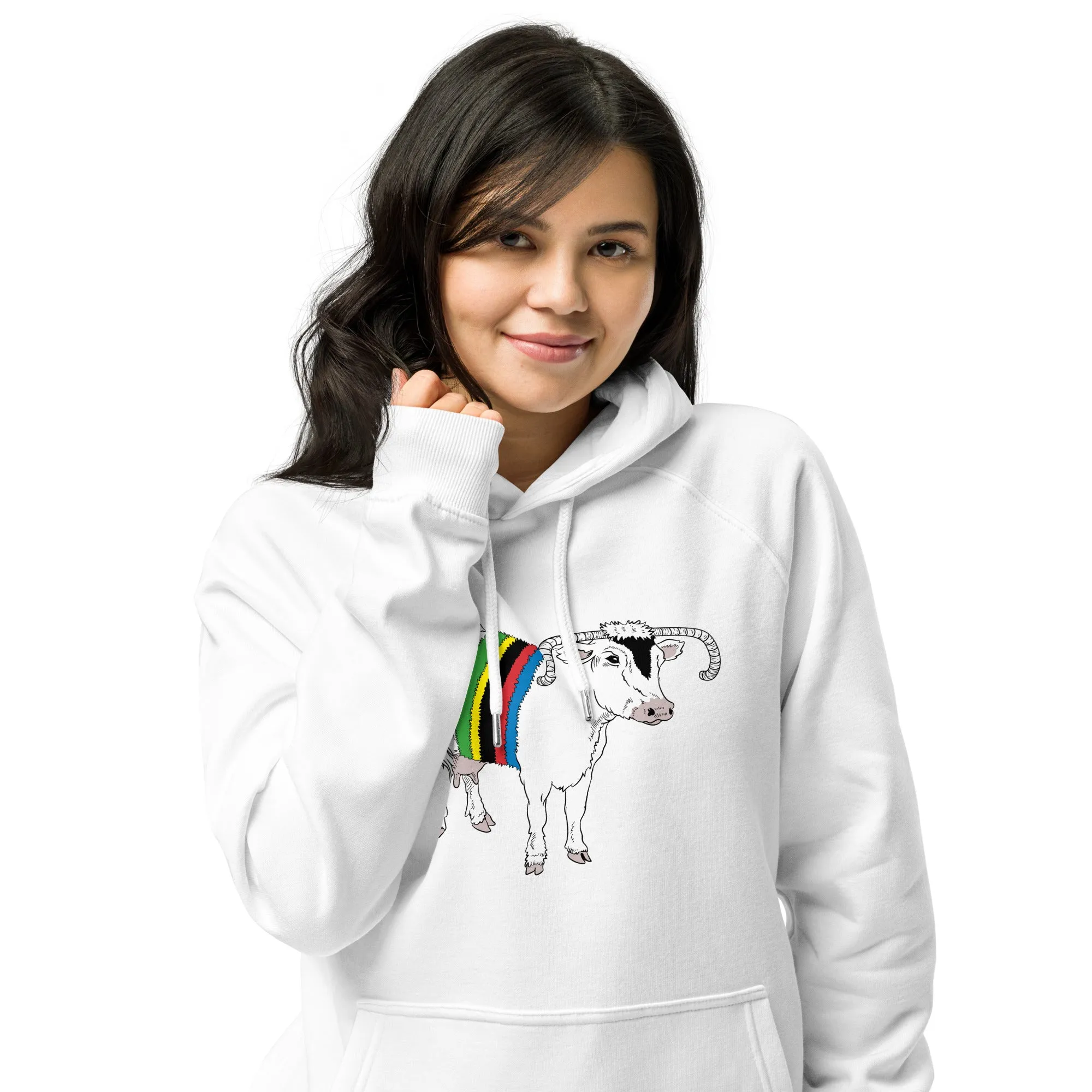 Rawhide Rainbow Eco Hoodie